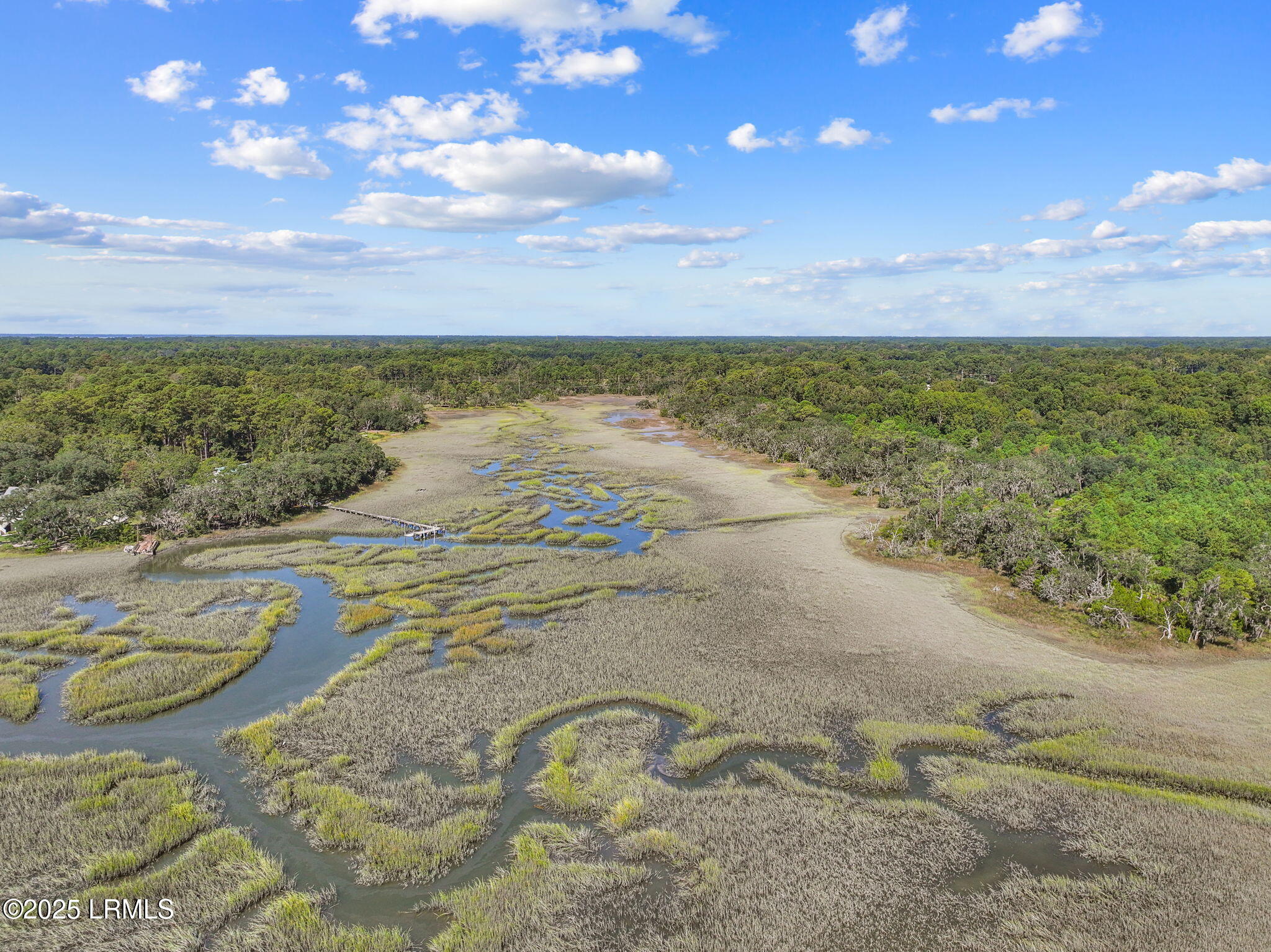 59 Bostick Circle Beaufort, SC 29902 - Photo 7 of 18 6-web-or-mls-dji_fly_20250920_111402_007