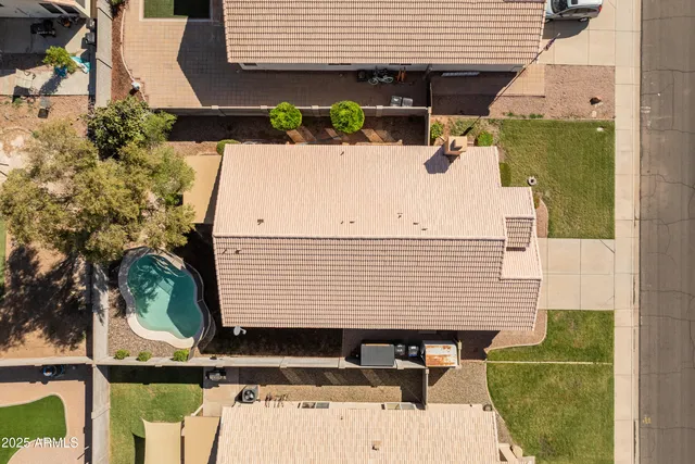 a view of backyard with wheel chair potted plants and large tree