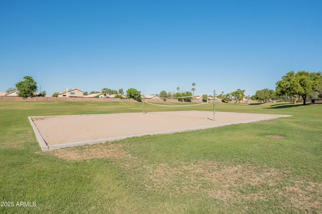 a view of a lake and tall trees