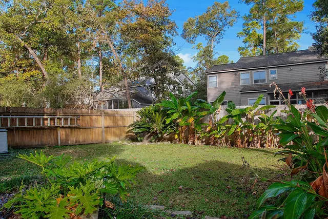 a view of a backyard with potted plants and large trees