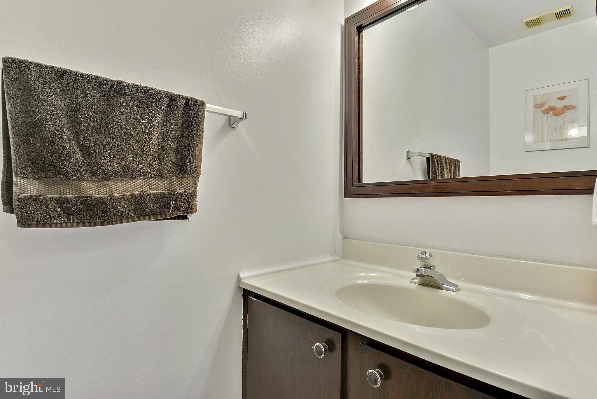 3841 Ferrara Drive Silver Spring, MD 20906 - Photo 26 of 30 a bathroom with a sink and a mirror