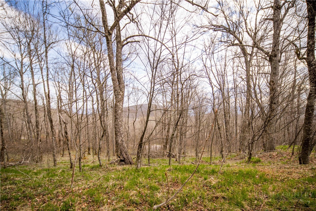 4 North Chappell Road Banner Elk, NC 28604 - Photo 1 of 14 a backyard of apartments with large trees