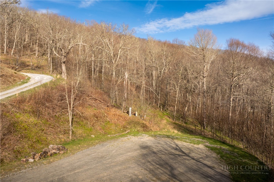 4 North Chappell Road Banner Elk, NC 28604 - Photo 5 of 14 a view of a backyard