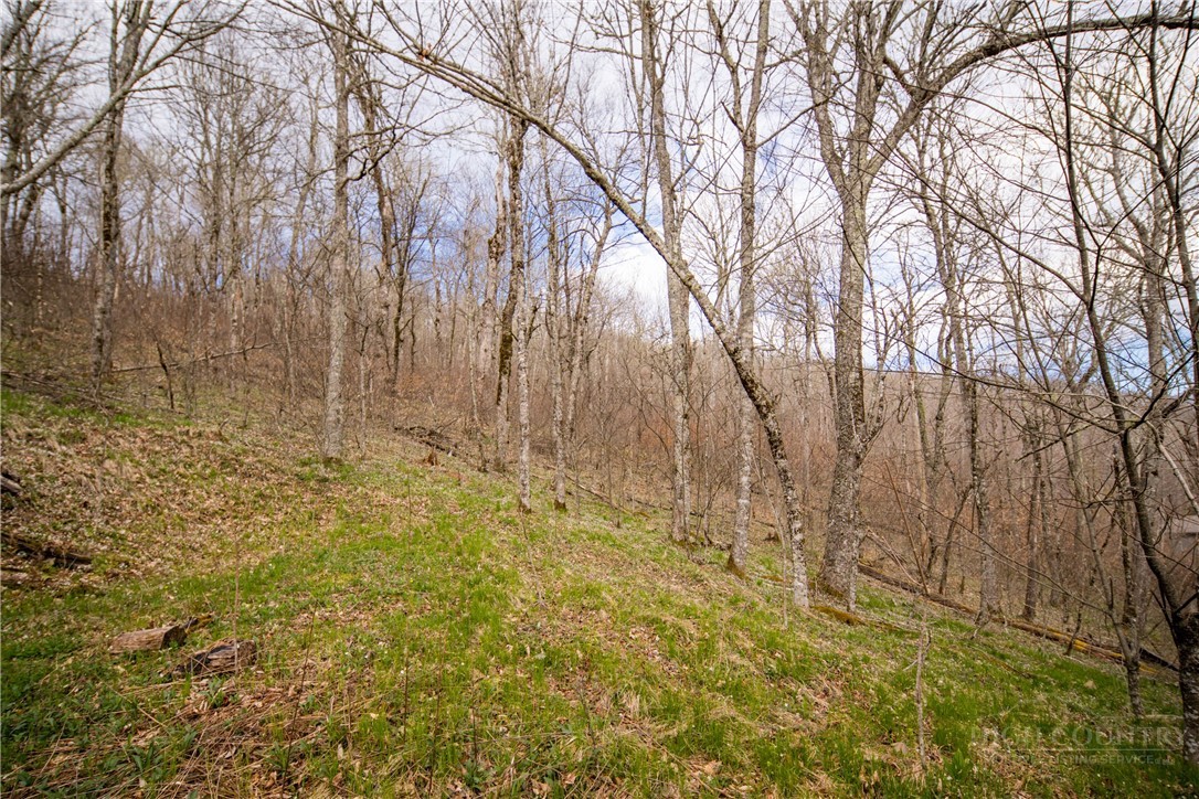 4 North Chappell Road Banner Elk, NC 28604 - Photo 10 of 14 a view of yard with large trees