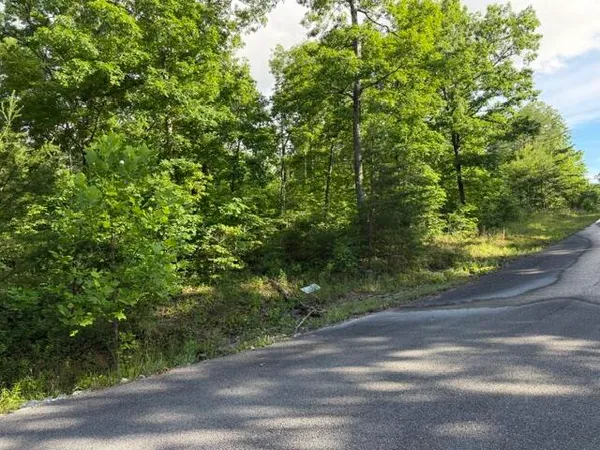 $69,900 | 196 Big Bluff View, Pikeville, TN 37367