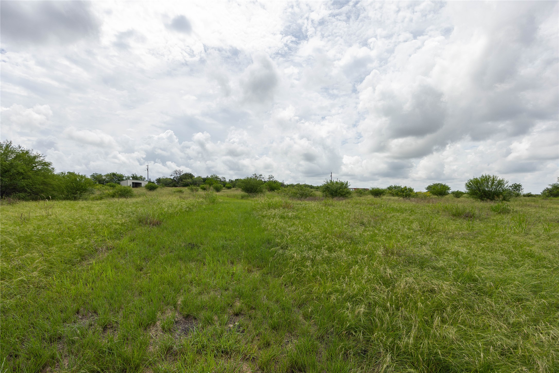 6868 Pfeil Road Schertz, TX 78154 - Photo 8 of 14 a view of a green field with lots of green space
