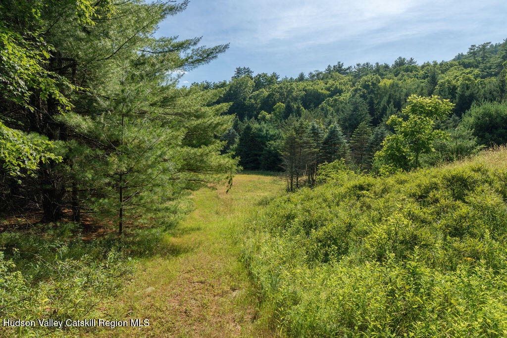 189 Tice Road Ellenville, NY 12428 - Photo 40 of 44 42