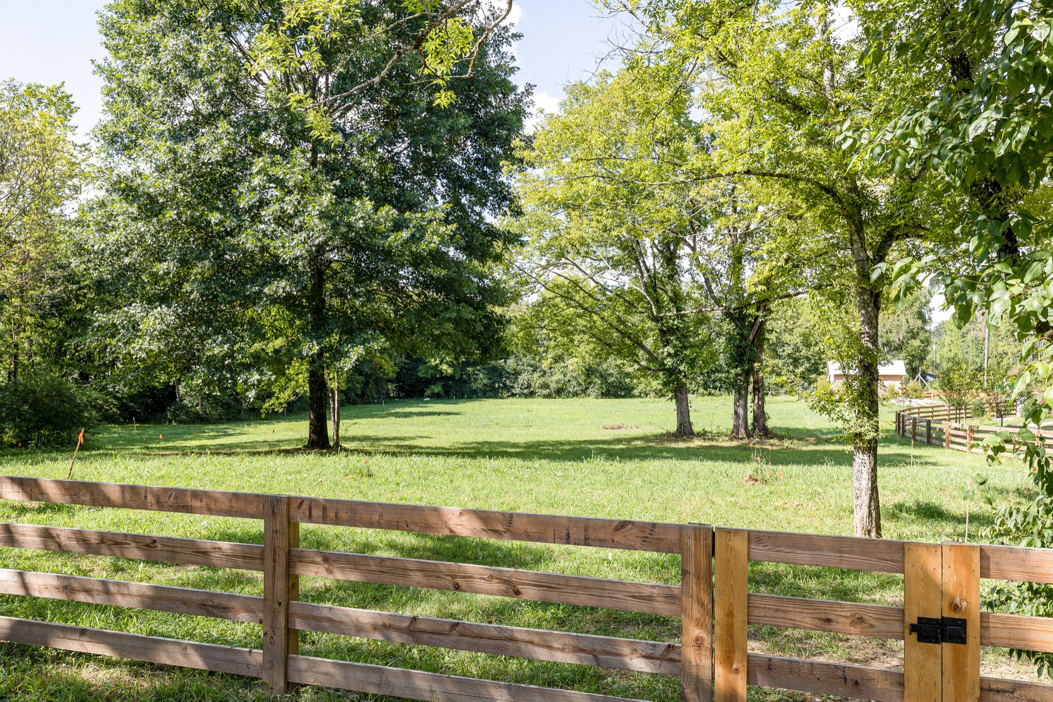 3235 Boyd Mill Pike Franklin, TN 37064 - Photo 36 of 68 a view of a park and trees