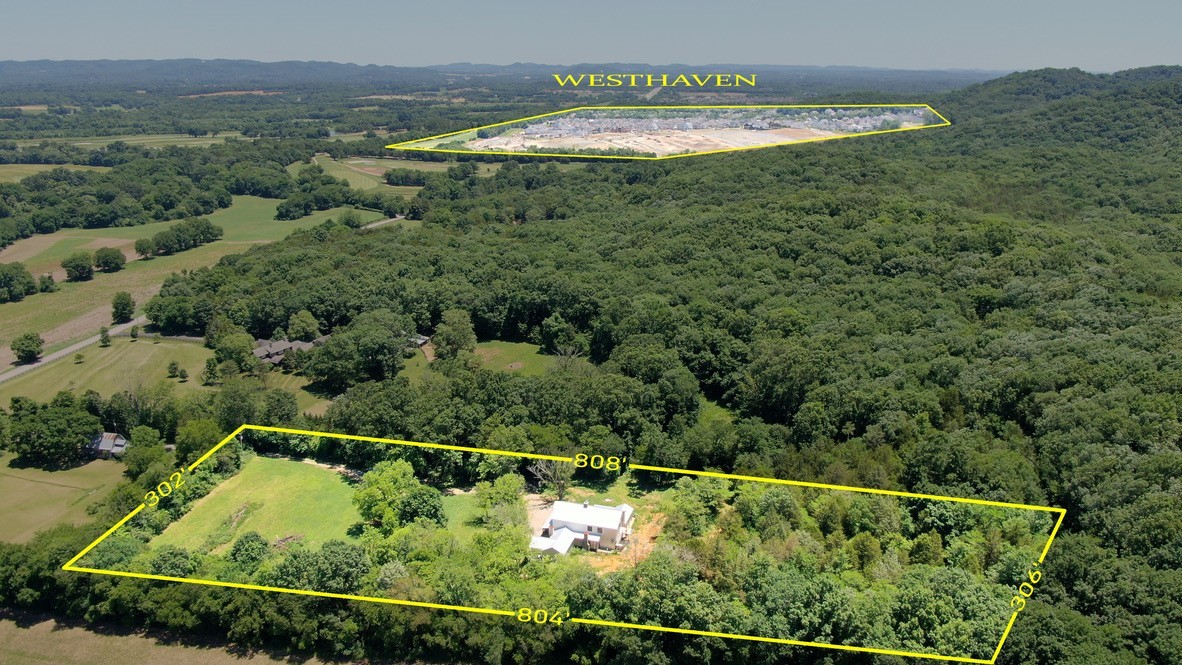 3235 Boyd Mill Pike Franklin, TN 37064 - Photo 49 of 68 a view of a forest