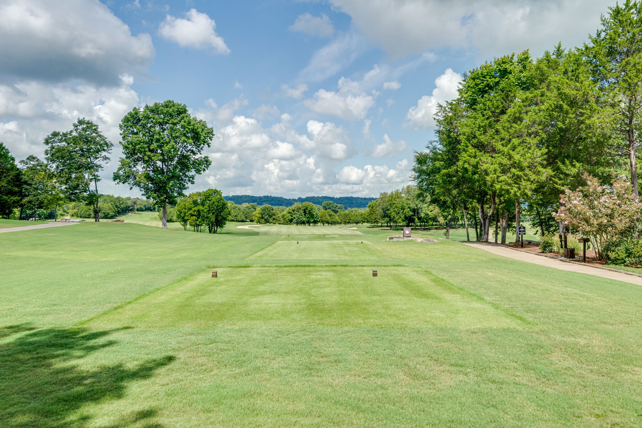 3235 Boyd Mill Pike Franklin, TN 37064 - Photo 59 of 68 a view of an outdoor space and basketball court