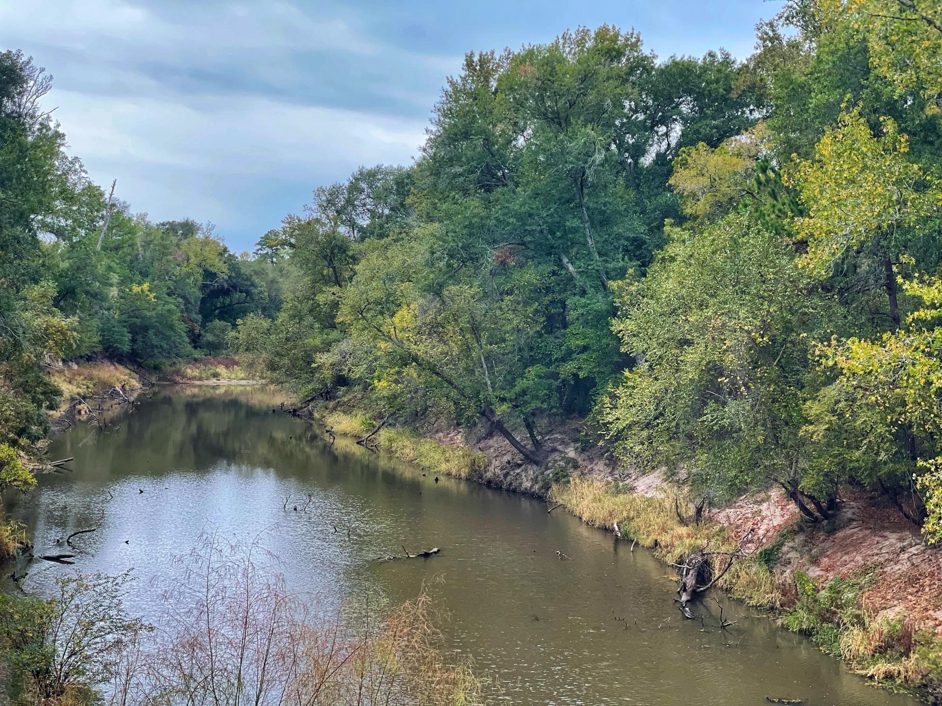 0 Fm-247 Midway, TX 75852 - Photo 5 of 14 a view of a lake with houses