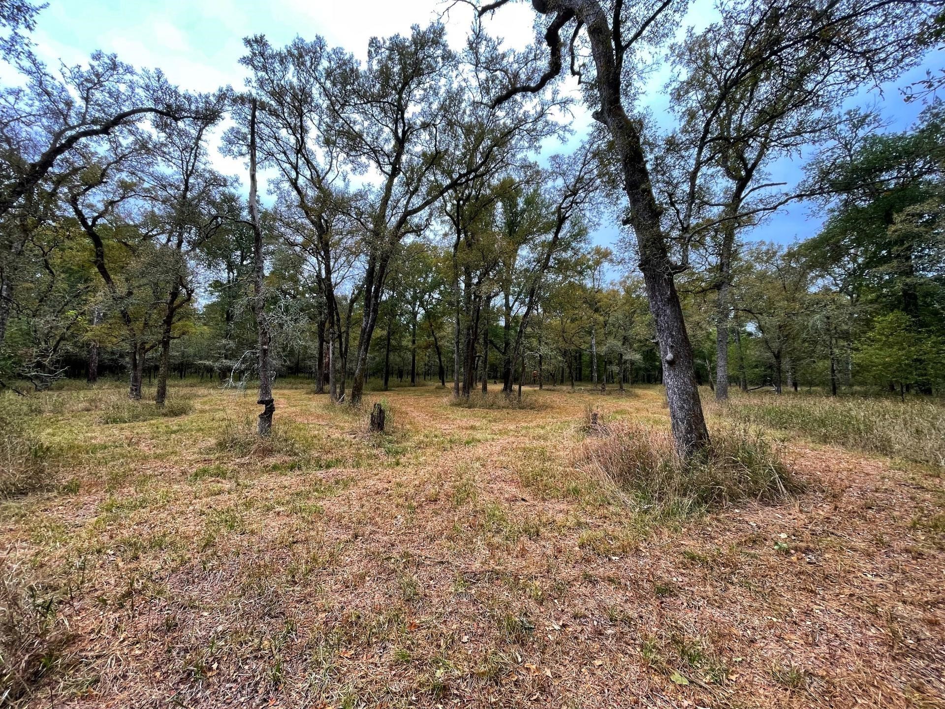 0 Fm-247 Midway, TX 75852 - Photo 9 of 14 a view of backyard with green space
