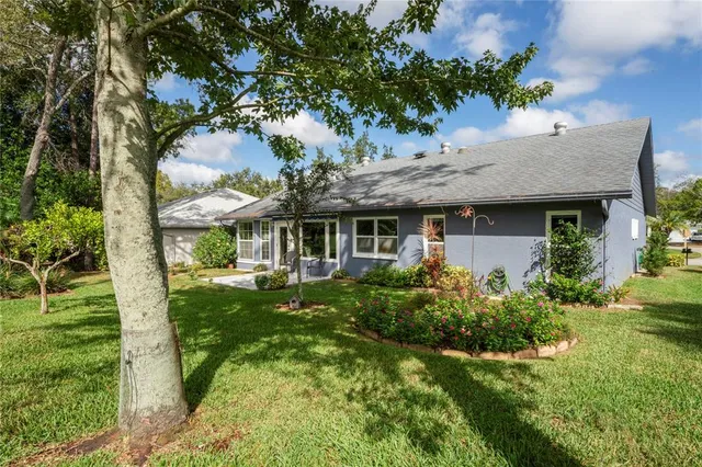 a view of a park that has a tree in it