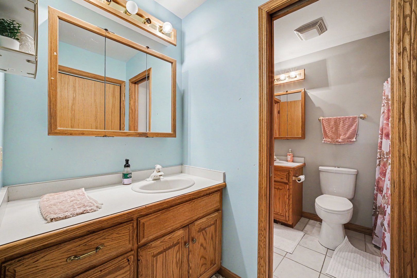 206 South Raven Road Shorewood, IL 60404 - Photo 9 of 17
