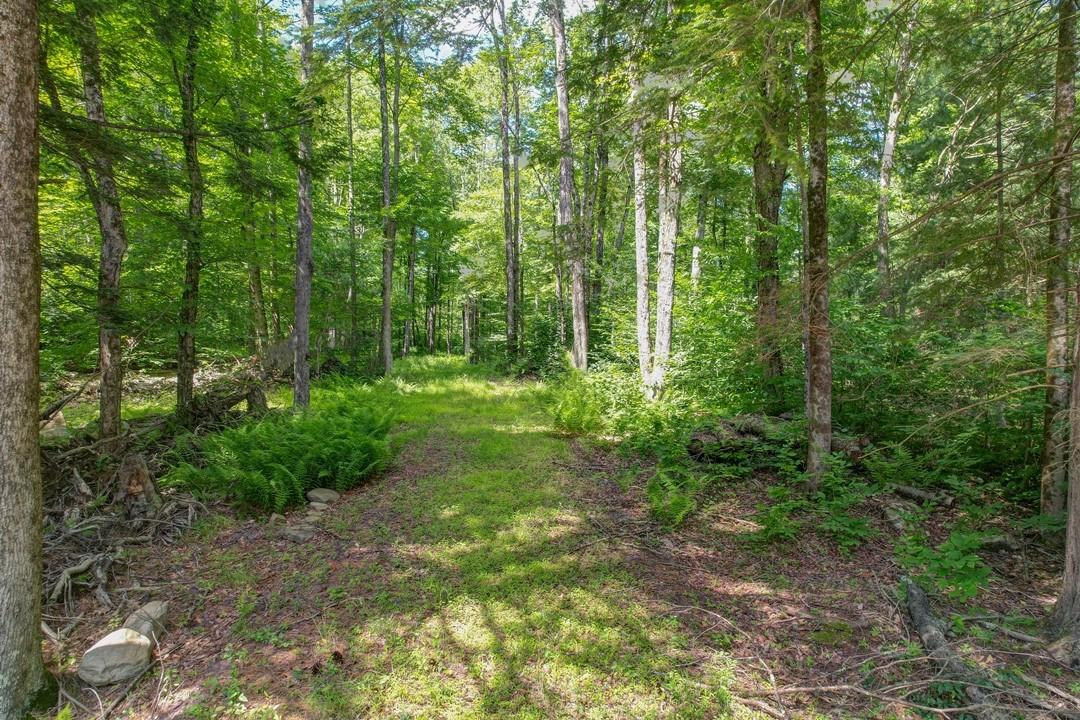 N/s French Clearing Road Forestburgh, NY 12777 - Photo 1 of 1 Gallery Image 1