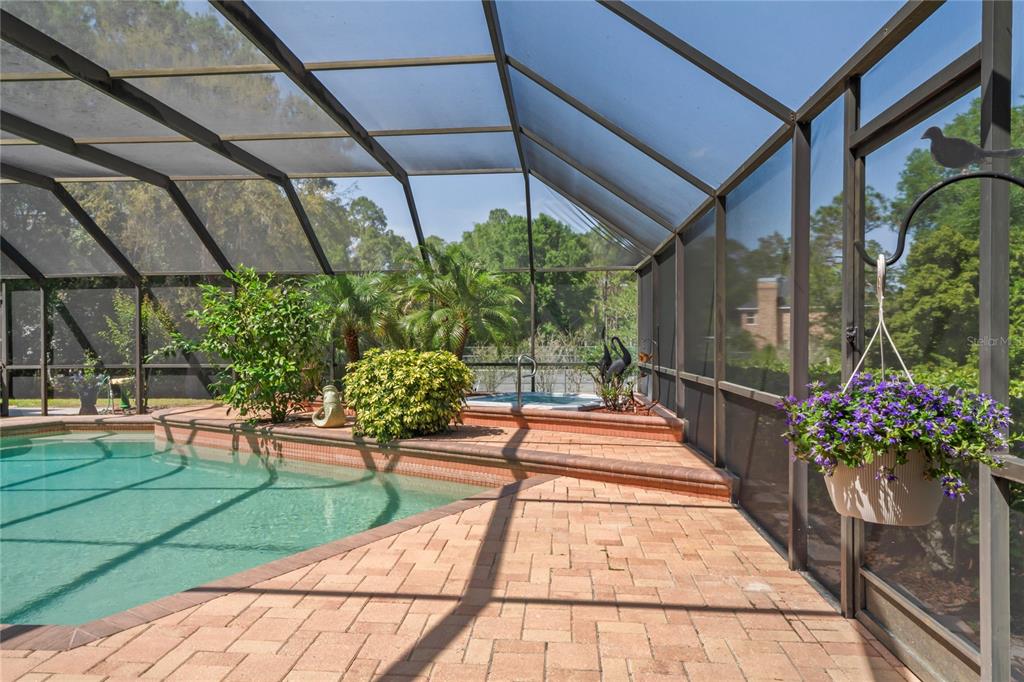 7353 Dogwood Crescent Spring Hill, FL 34607 - Photo 49 of 98