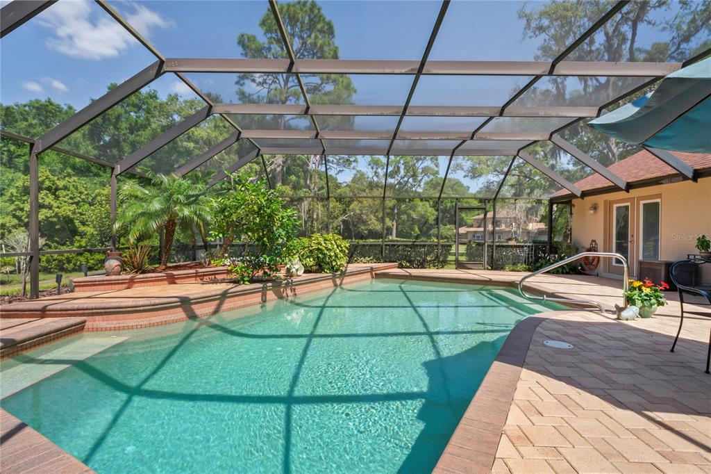 7353 Dogwood Crescent Spring Hill, FL 34607 - Photo 50 of 98