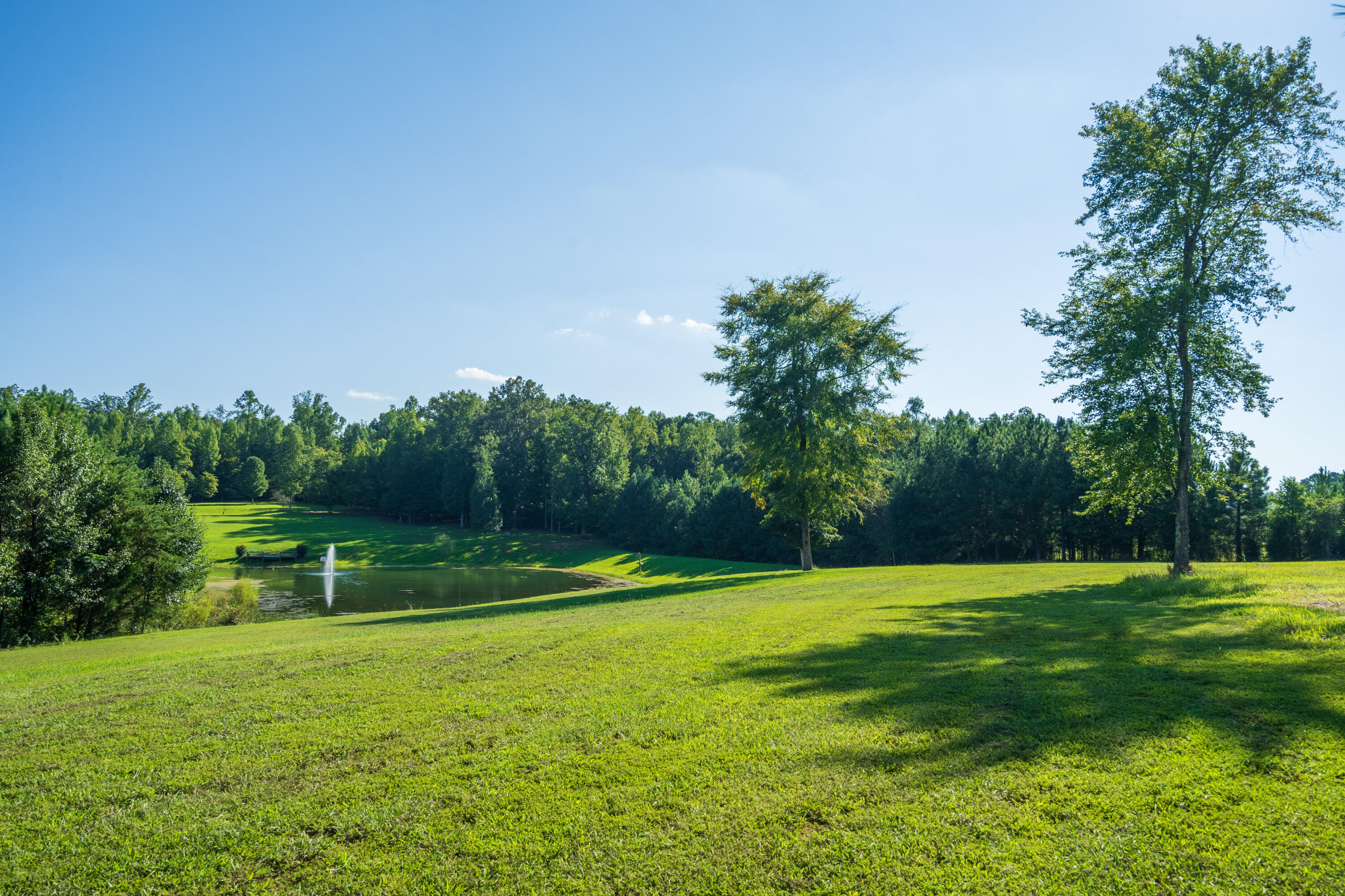 5758 Tallant Road Ooltewah, TN 37363 - Photo 69 of 93 Exterior_5758 Tallant rd-16