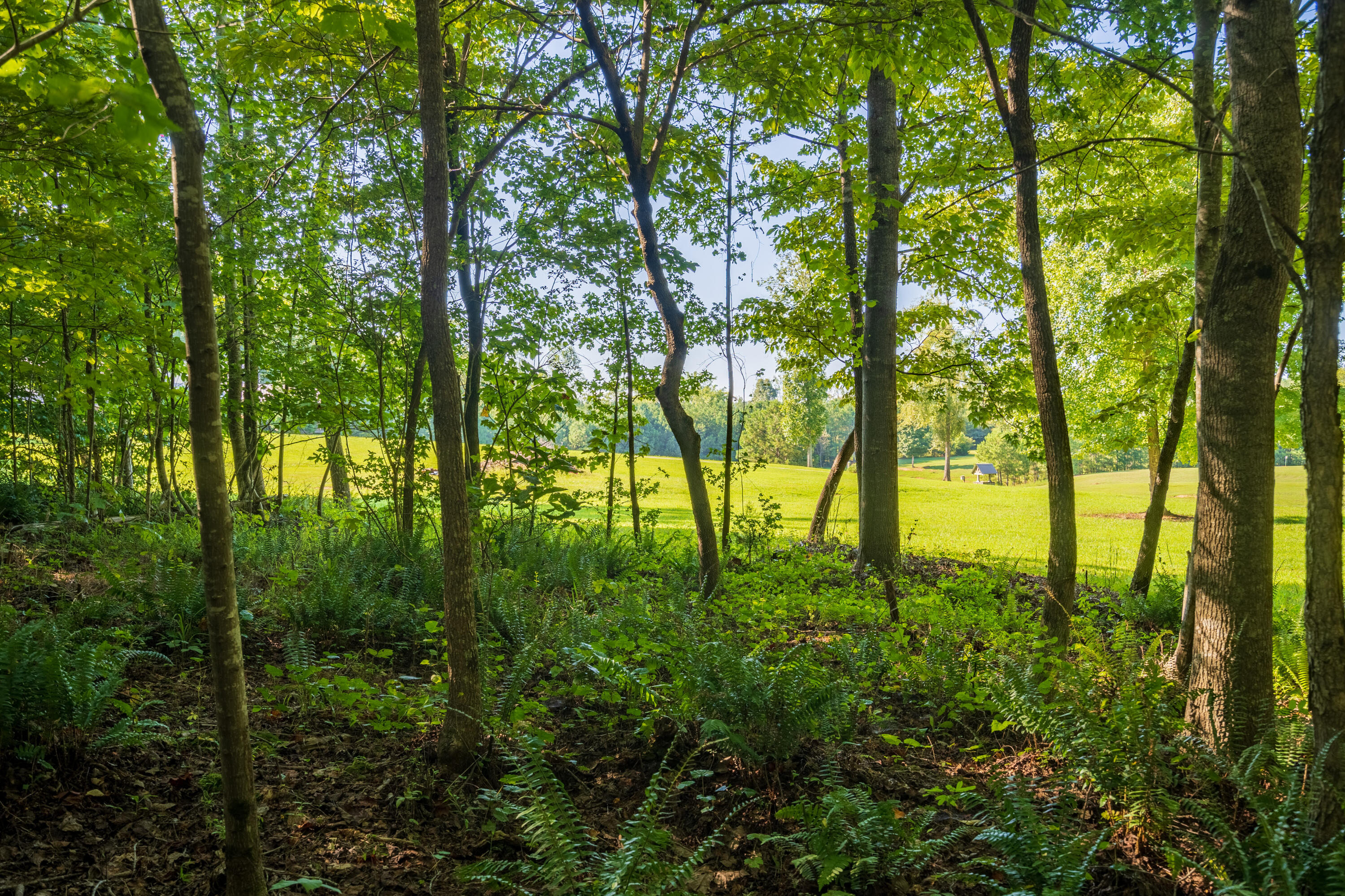 5758 Tallant Road Ooltewah, TN 37363 - Photo 74 of 93 Exterior_5758 Tallant rd-9