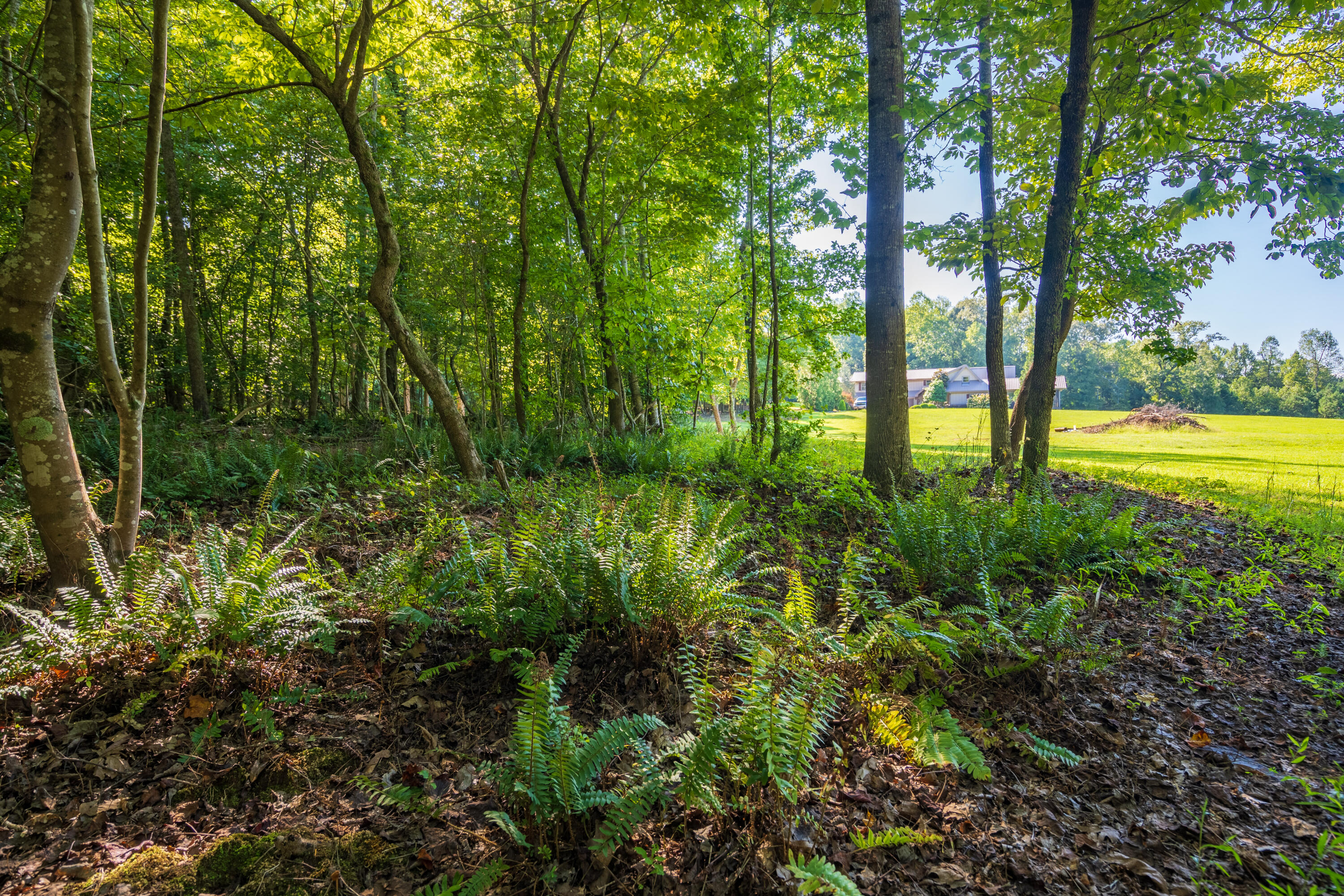 5758 Tallant Road Ooltewah, TN 37363 - Photo 75 of 93 Exterior_5758 Tallant rd-10