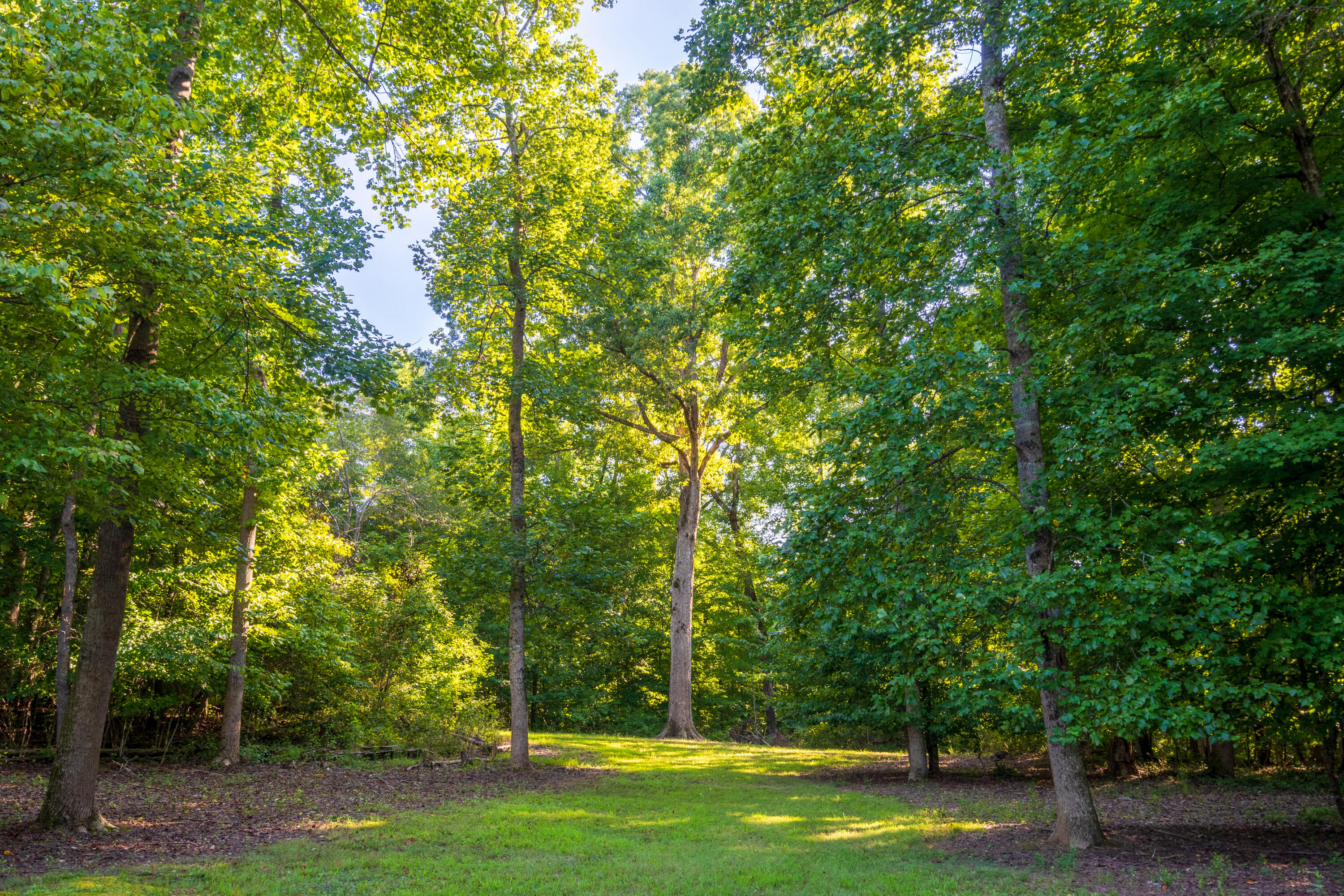 5758 Tallant Road Ooltewah, TN 37363 - Photo 76 of 93 Exterior_5758 Tallant rd-30