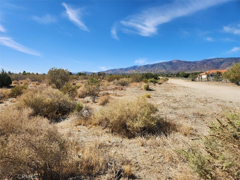 11675 Descanso Road Pinon Hills, CA 92372 - Photo 1 of 1 a view of an outdoor space with mountain view