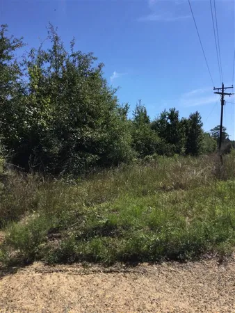 $78,000 | 463 Highway Leesville La, Pitkin, LA 70656