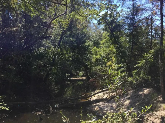 $78,000 | 463 Highway Leesville La, Pitkin, LA 70656