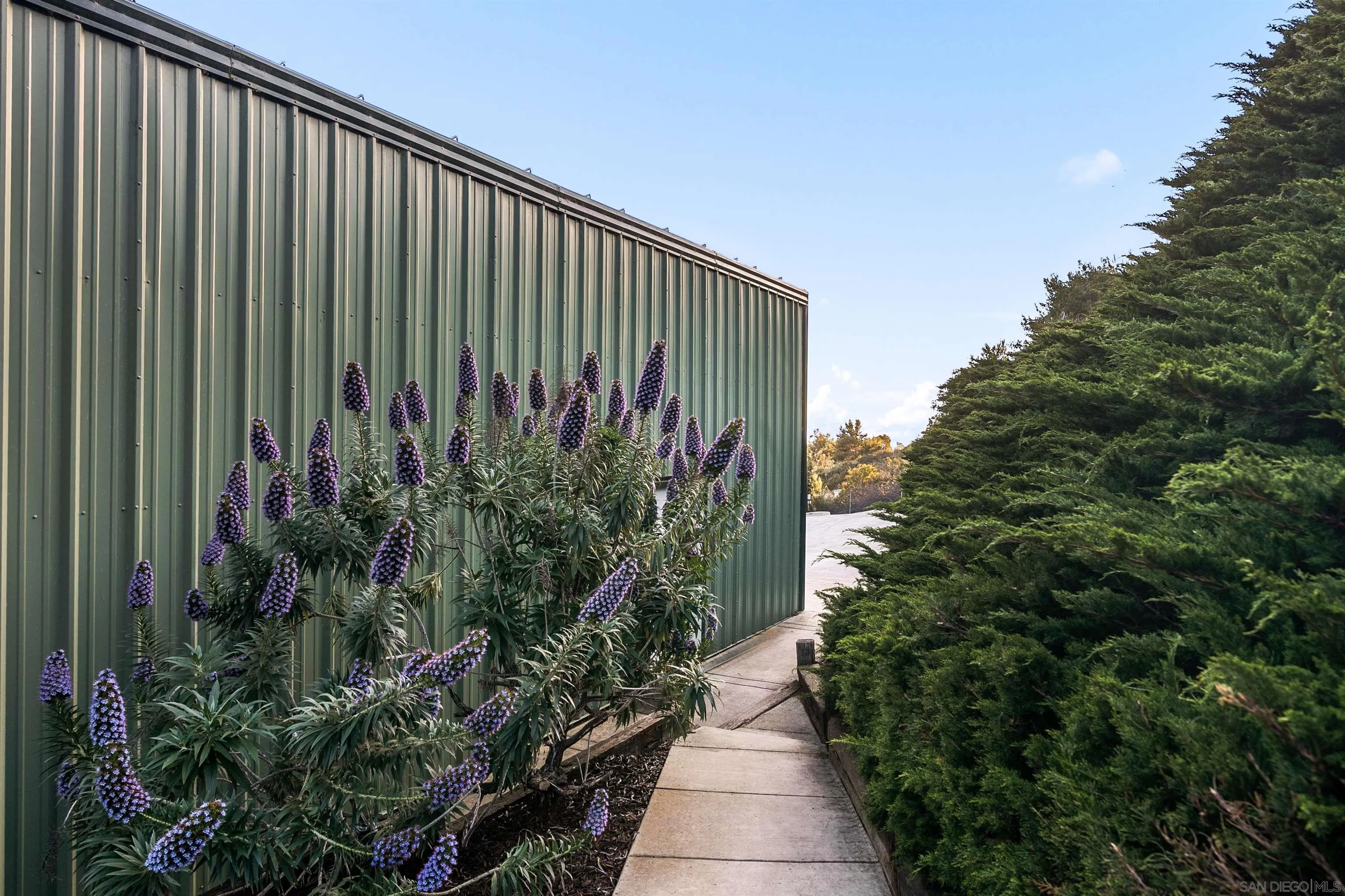 1050 Solana Drive Del Mar, CA 92014 - Photo 58 of 75 a view of a backyard with plants