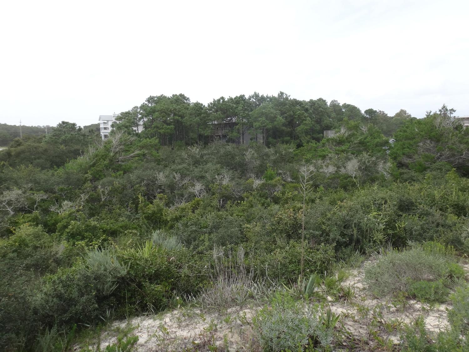 30-a Santa Rosa Beach Santa Rosa Beach, FL 32459 - Photo 1 of 2 a view of a valley