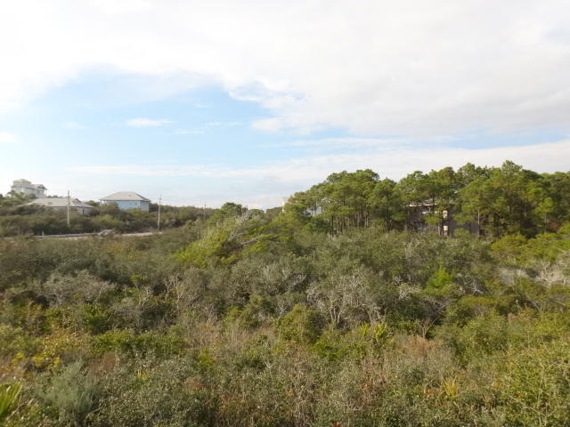 30-a Santa Rosa Beach Santa Rosa Beach, FL 32459 - Photo 2 of 2 a view of a bunch of trees in a field