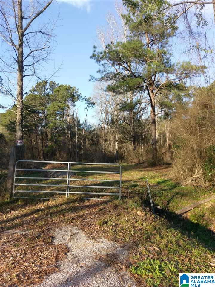 0 Cone Street, Unit 1 Clanton, AL 35045 - Photo 1 of 1