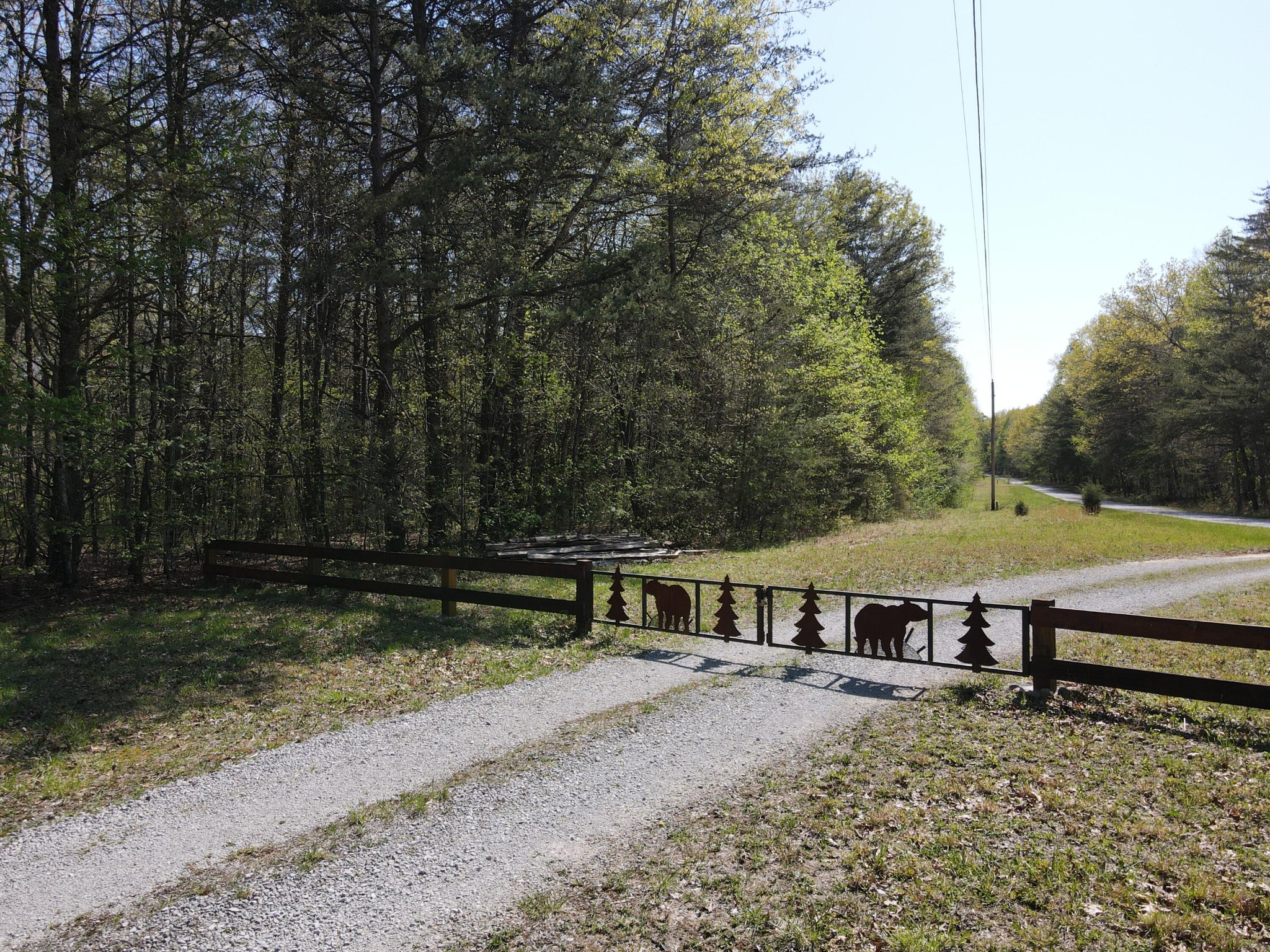 60 Hideaway Cabin Road Altamont, TN 37301 - Photo 19 of 31 Gallery Image 19