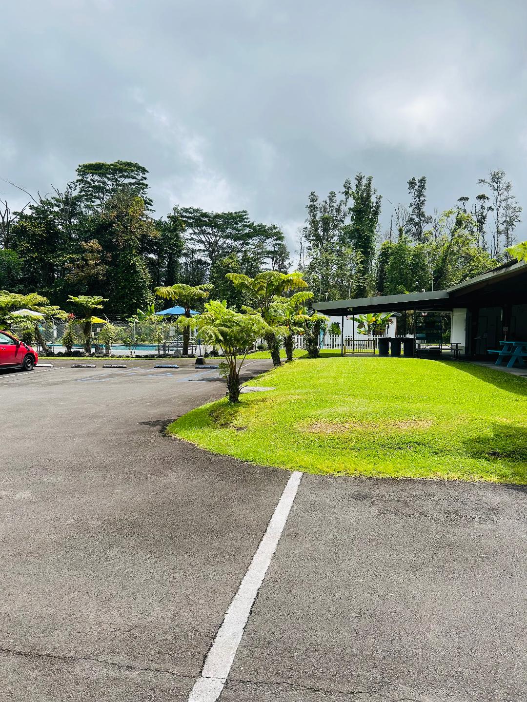203 Niihau Road Pahoa, HI 96778 - Photo 8 of 10 a view of a swimming pool with lawn chairs and a yard
