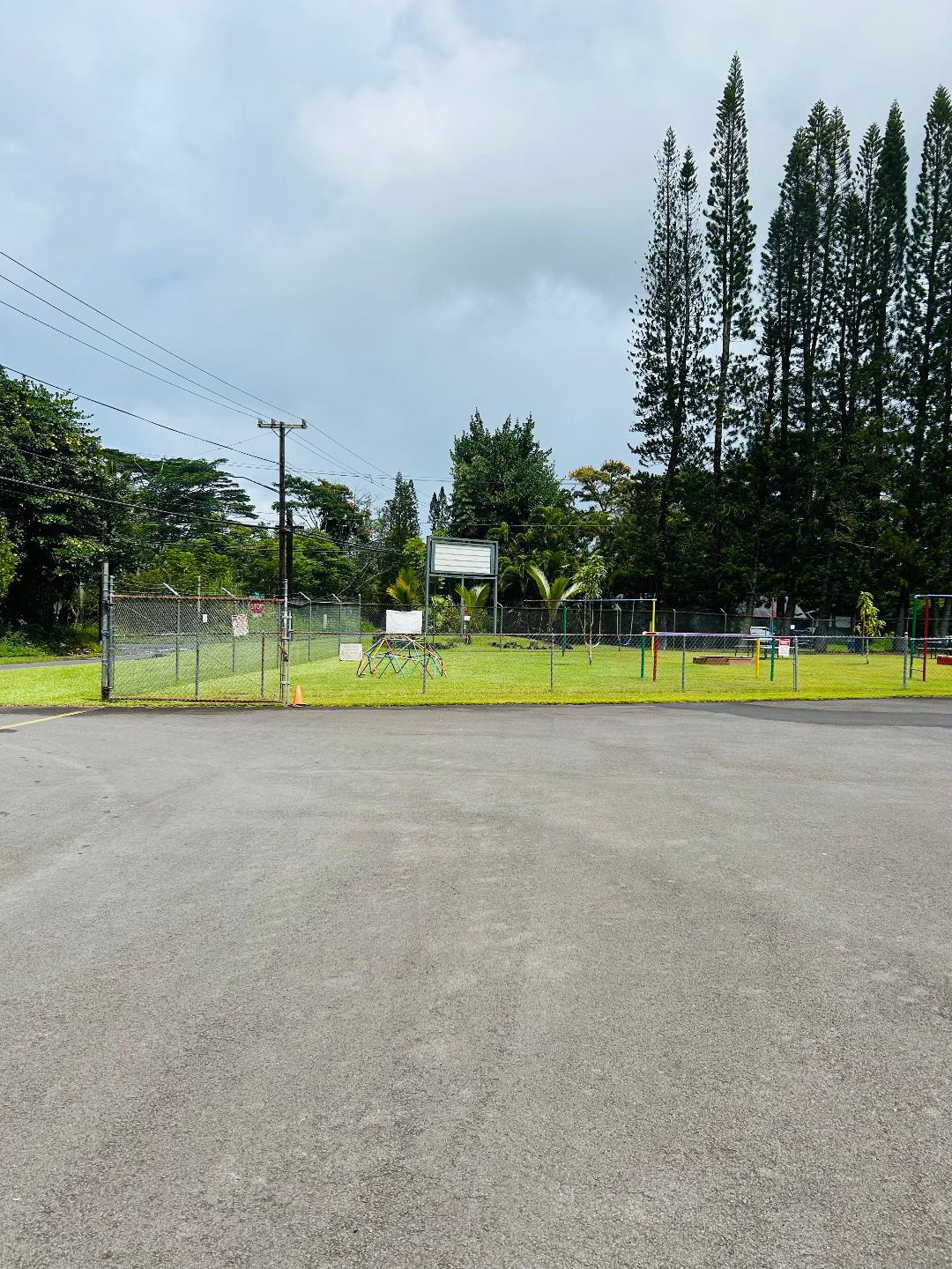 203 Niihau Road Pahoa, HI 96778 - Photo 9 of 10 a view of a swimming pool and a yard