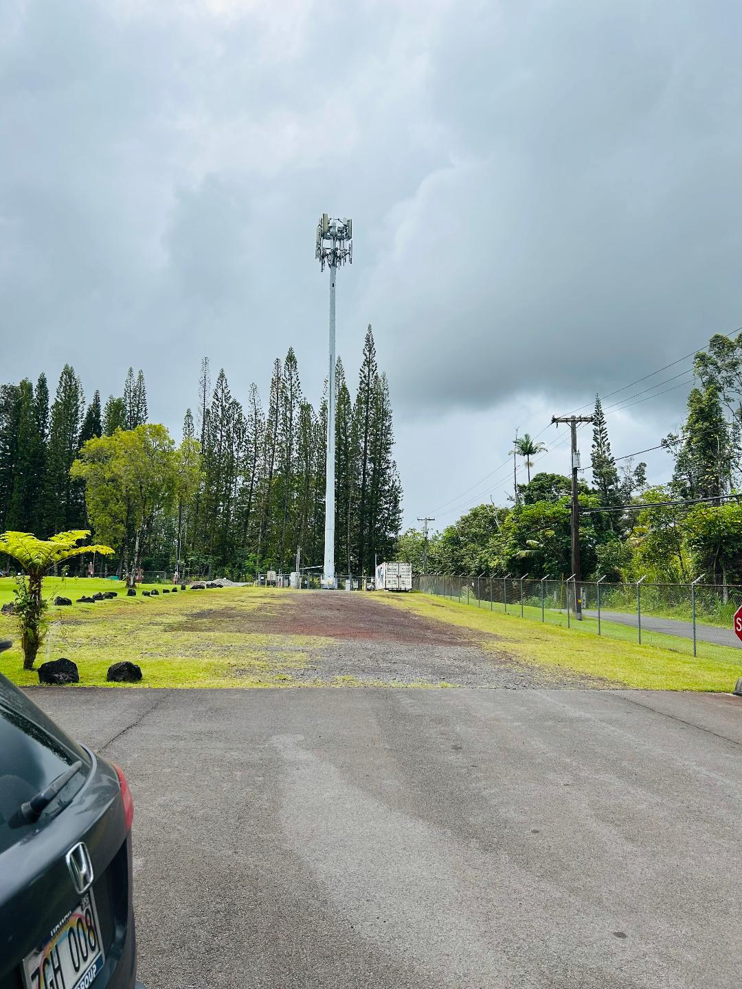 203 Niihau Road Pahoa, HI 96778 - Photo 10 of 10 a view of a swimming pool and a yard