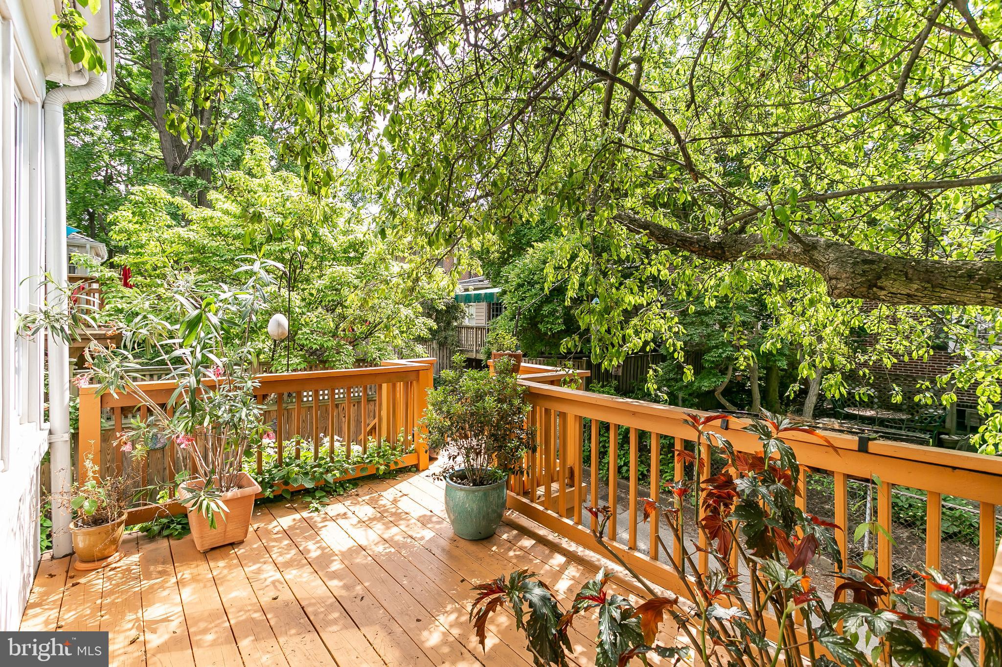 3952 Cloverhill Road Baltimore, MD 21218 - Photo 42 of 65 Beautiful Back Deck