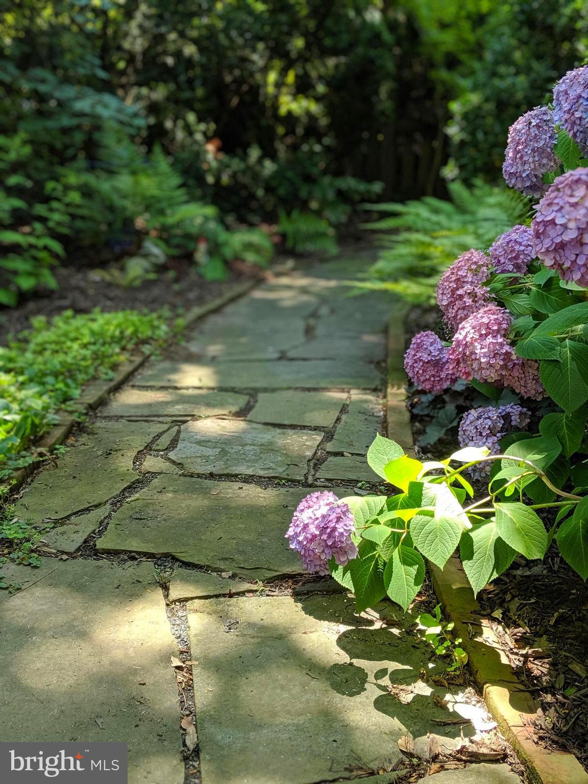 3952 Cloverhill Road Baltimore, MD 21218 - Photo 54 of 65 Serenity in the Garden
