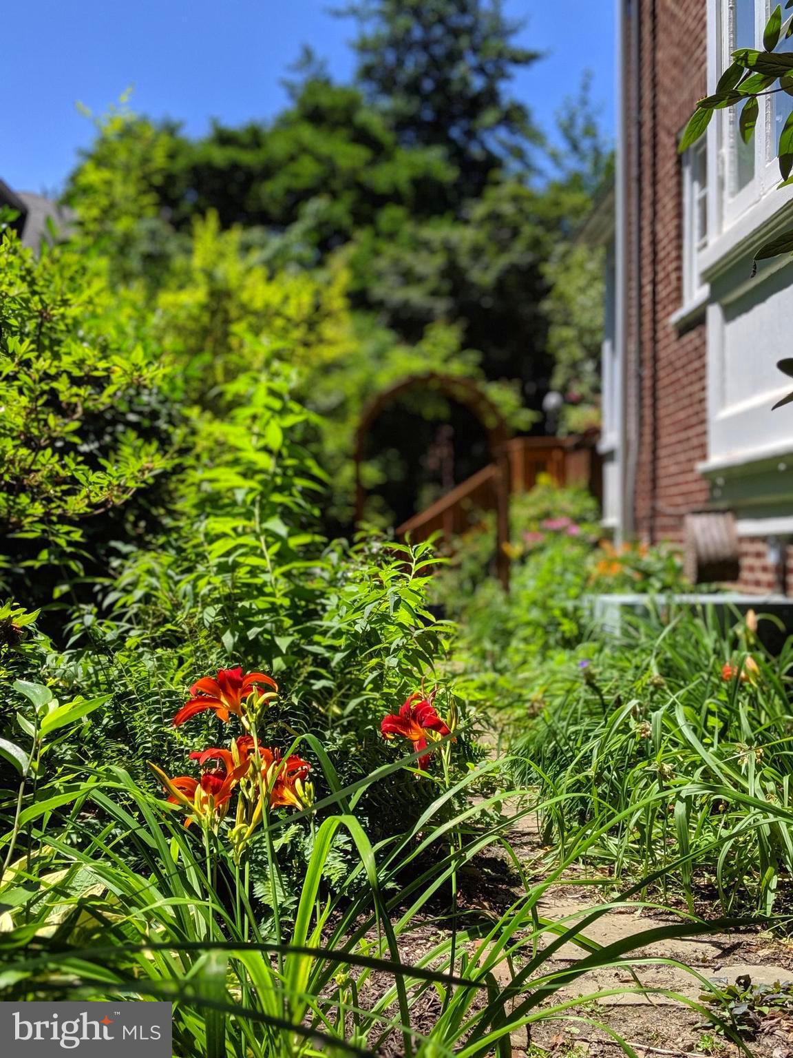 3952 Cloverhill Road Baltimore, MD 21218 - Photo 60 of 65 Native Perennial Garden