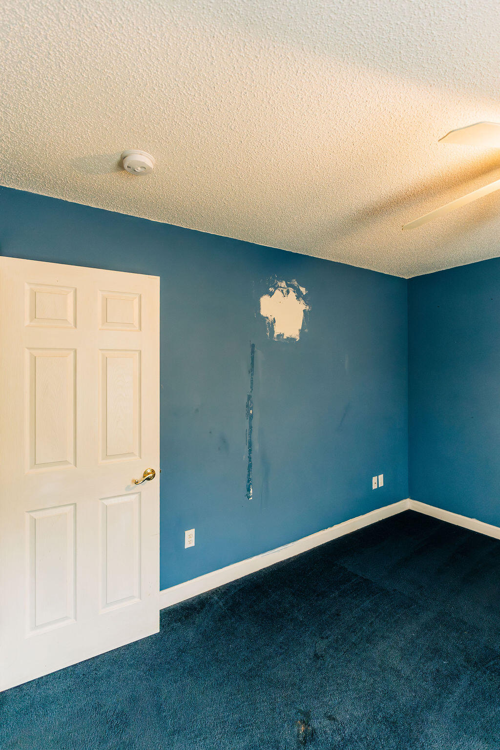 544 Capers Road Walterboro, SC 29488 - Photo 31 of 83 DSC01221