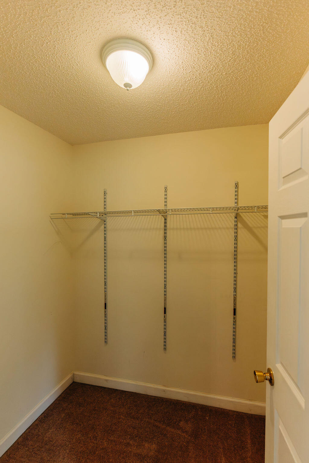 544 Capers Road Walterboro, SC 29488 - Photo 37 of 83 DSC01229