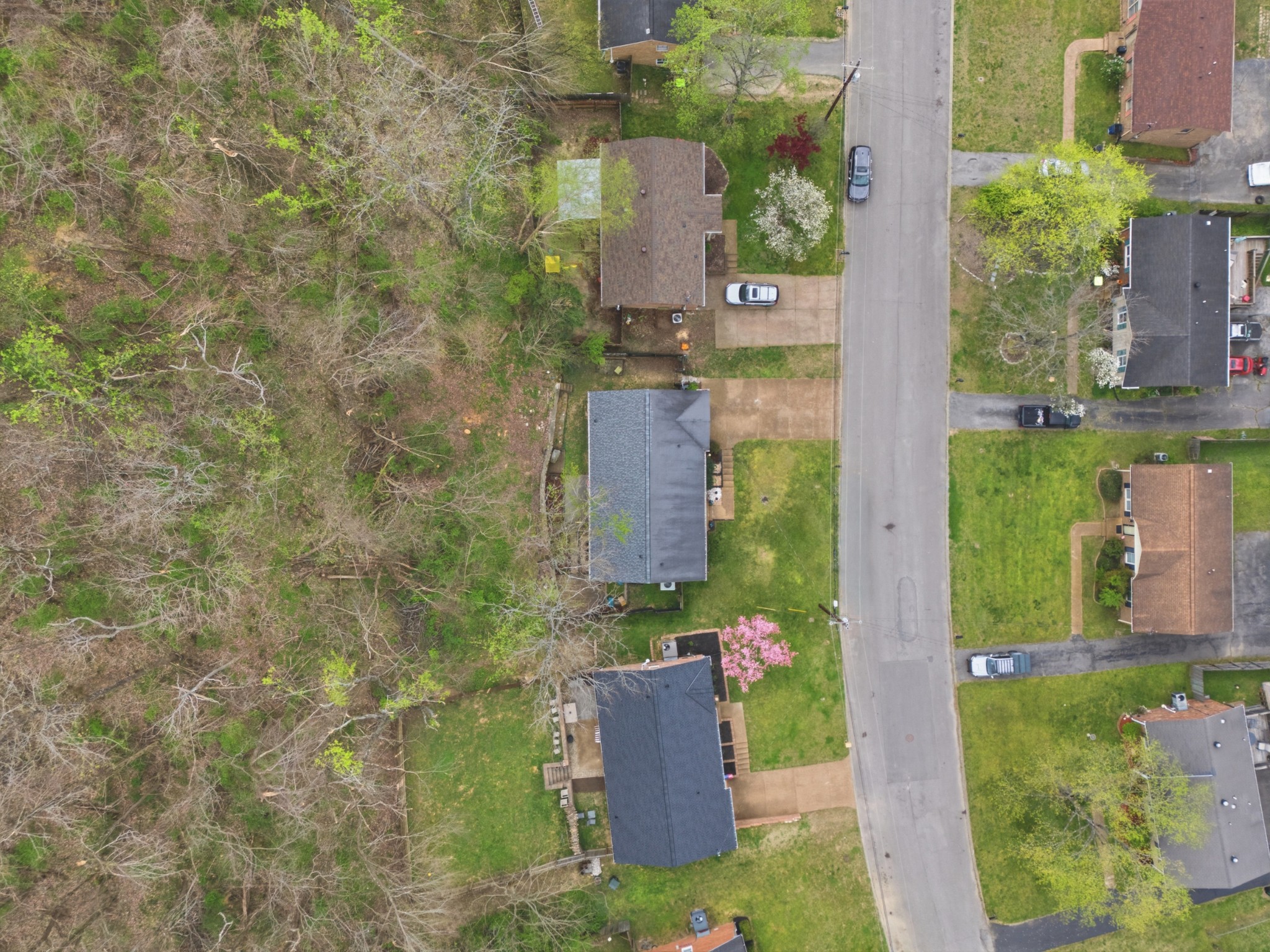 557 Holt Valley Road Nashville, TN 37209 - Photo 49 of 50