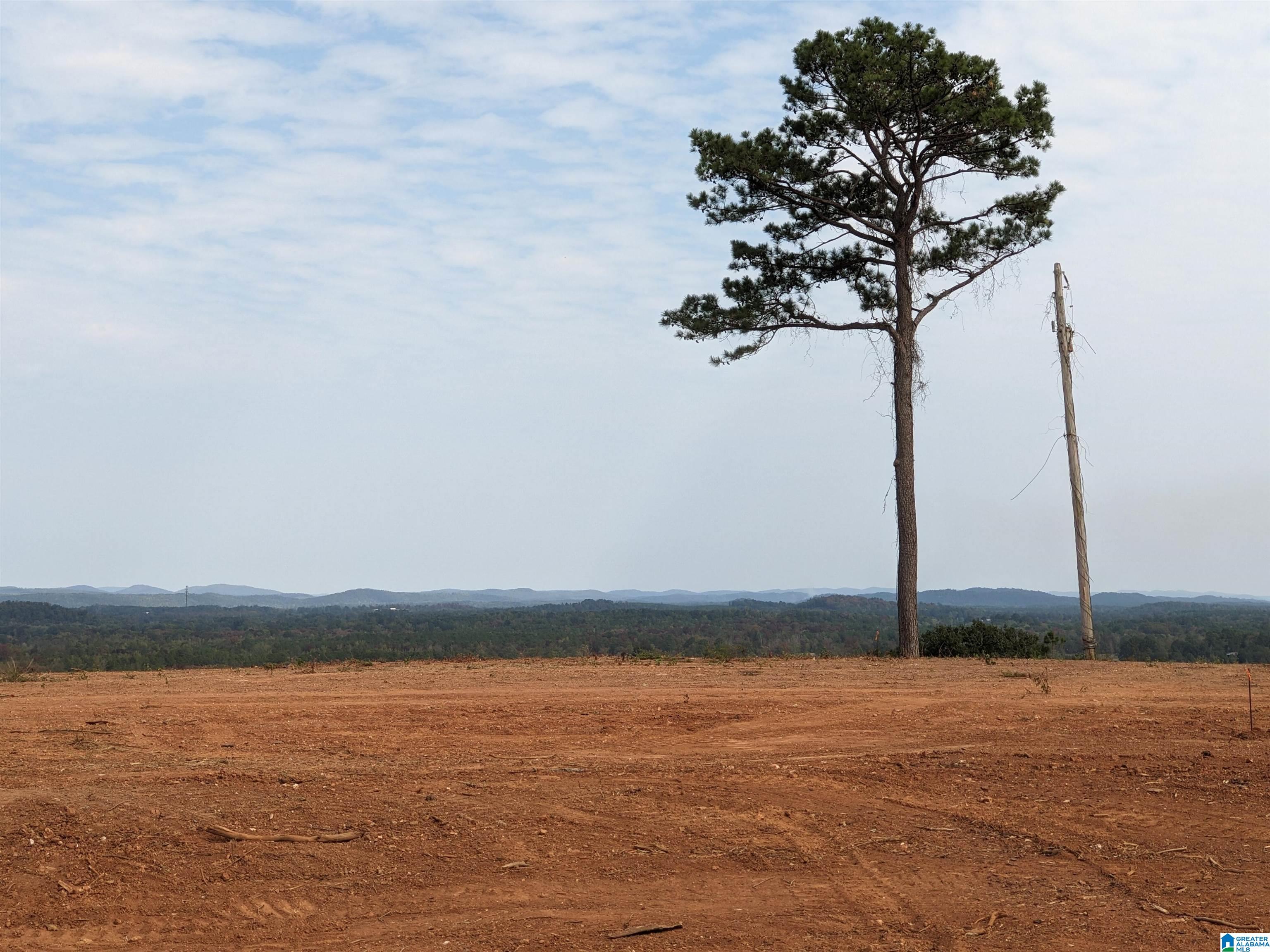 16091 Jackson Trace Road Lincoln, AL 35096 - Photo 8 of 17
