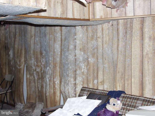486 Marple Road Winchester, VA 22603 - Photo 22 of 22 Basement