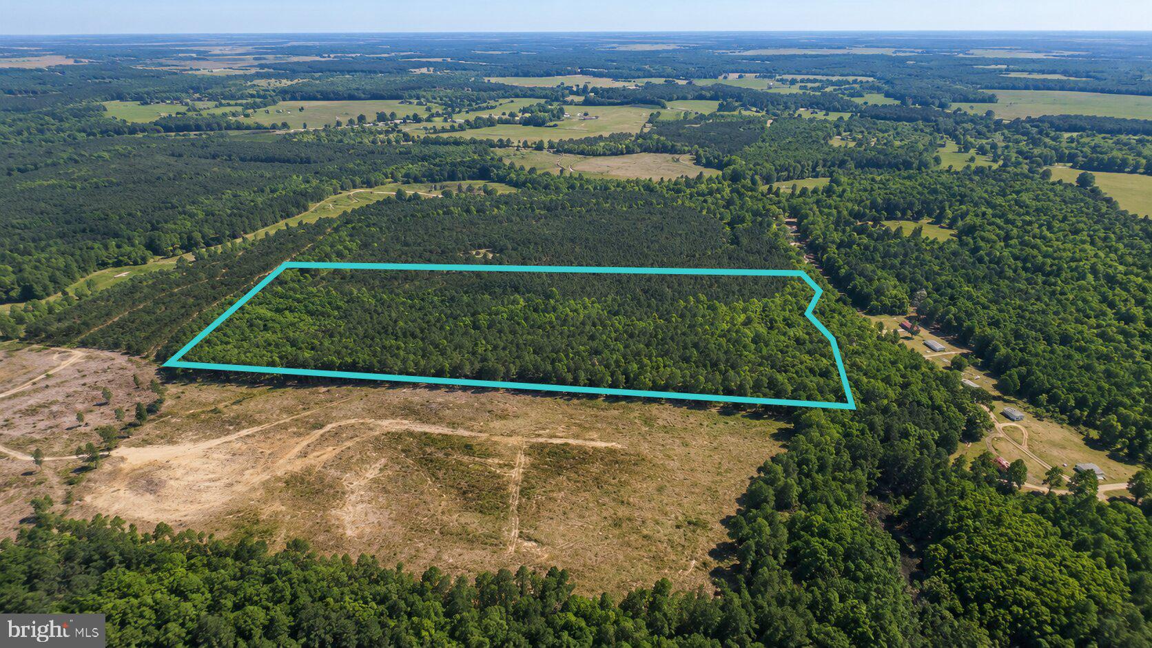 0 Connell Road Brodnax, VA 23920 - Photo 2 of 9