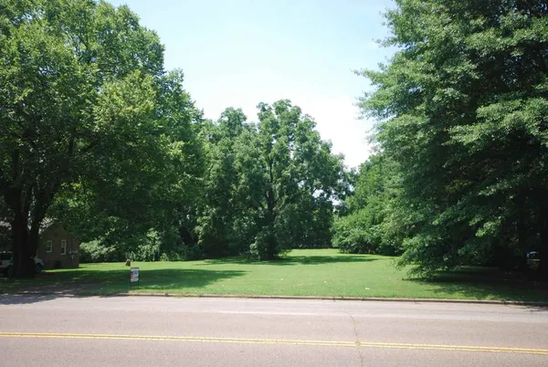 a green field with lots of trees in the background