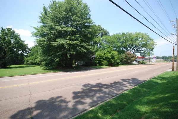 a view of a yard with potted plants and trees