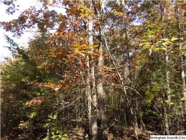 Blakes Ferry Road, Unit 77 Lineville, AL 36266 - Photo 13 of 18 Gallery Image 13