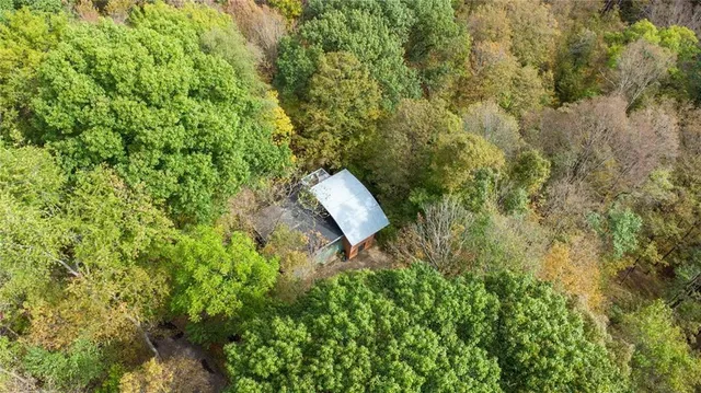 a view of a forest from balcony