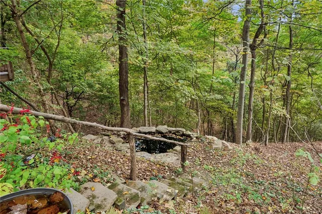 a view of a forest with trees